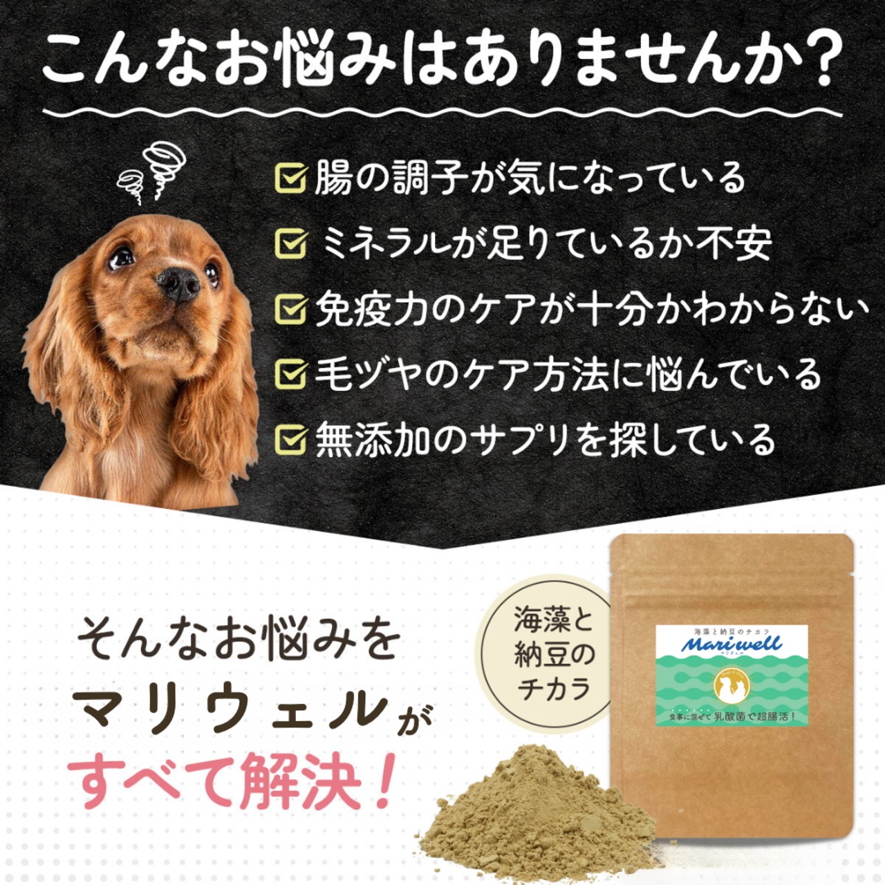 超腸活&免疫ケア Mariwell マリウェル 30g【海藻、納豆、乳酸菌、ビール酵母】