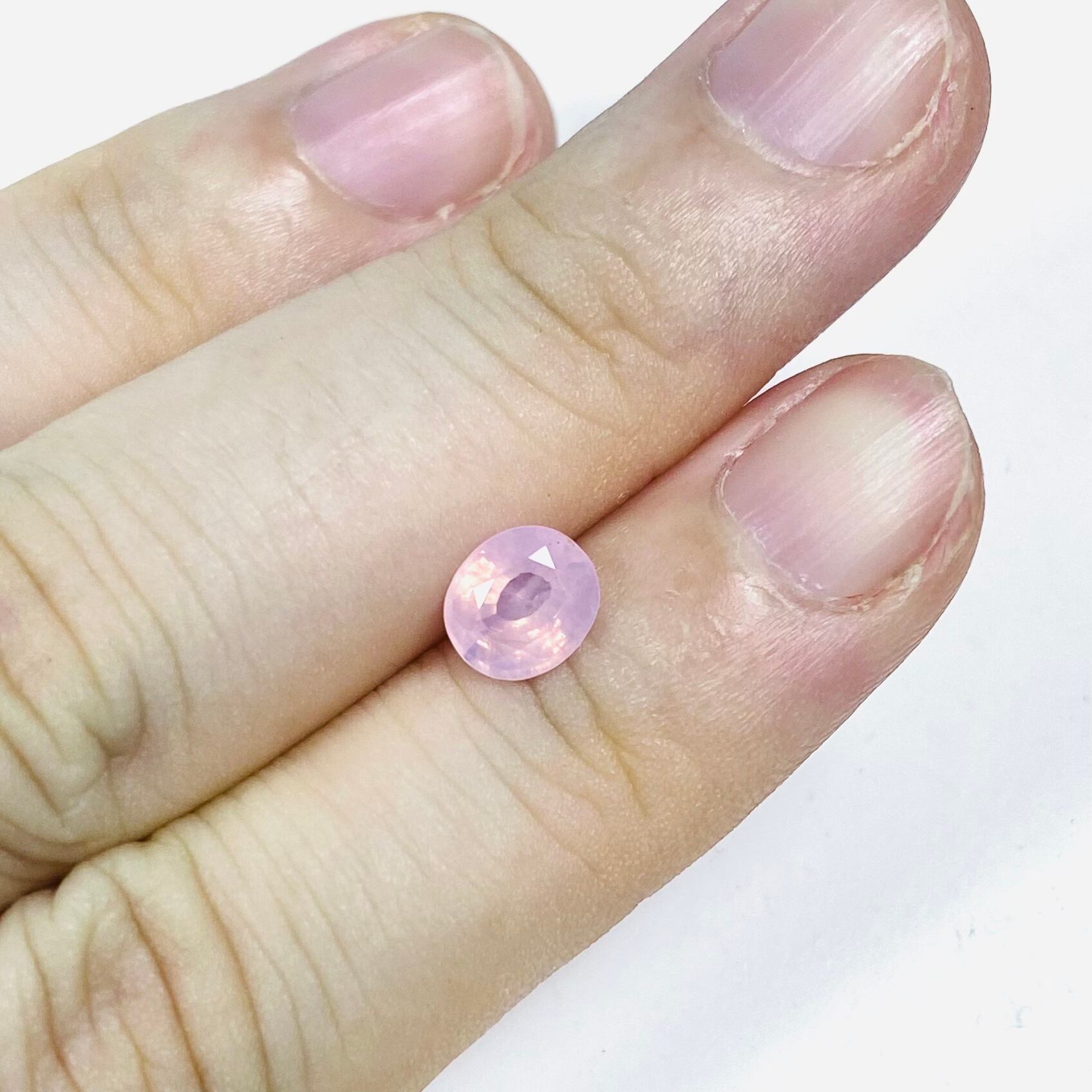 ミルキーウェイ　サファイア