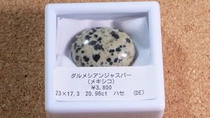 YouTube180-11 ダルメシアンジャスパー［メキシコ産］