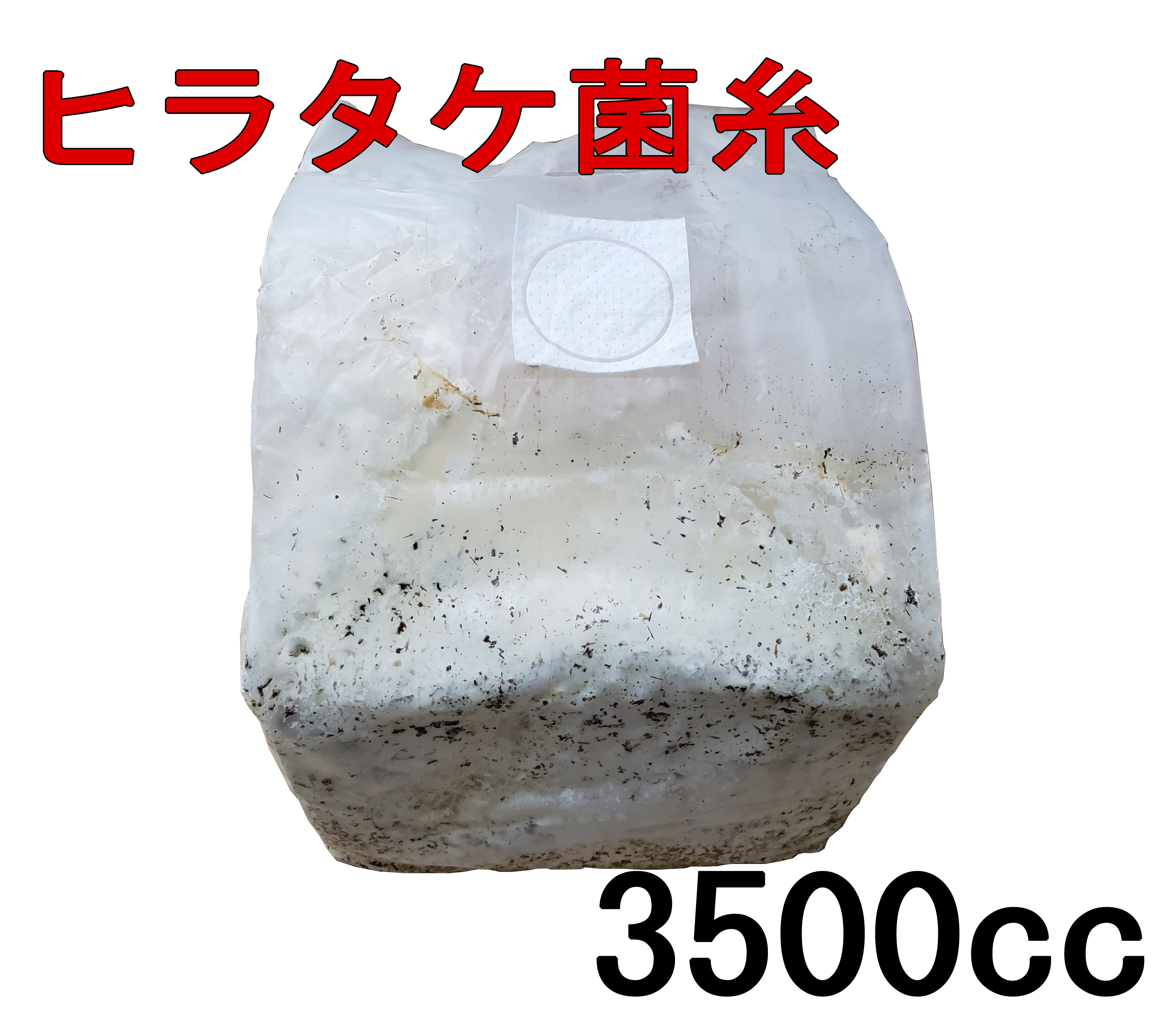 高性能・高品質　BREED菌糸ブロック　3500cc　3個セット