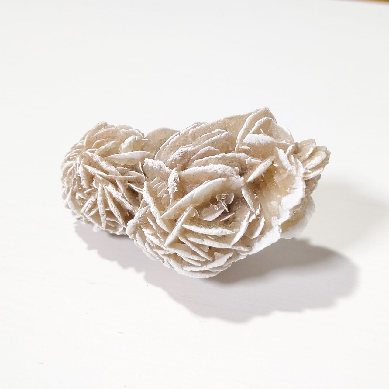 砂漠の薔薇 Desert Rose Sand Rose デザートローズ サンドローズ