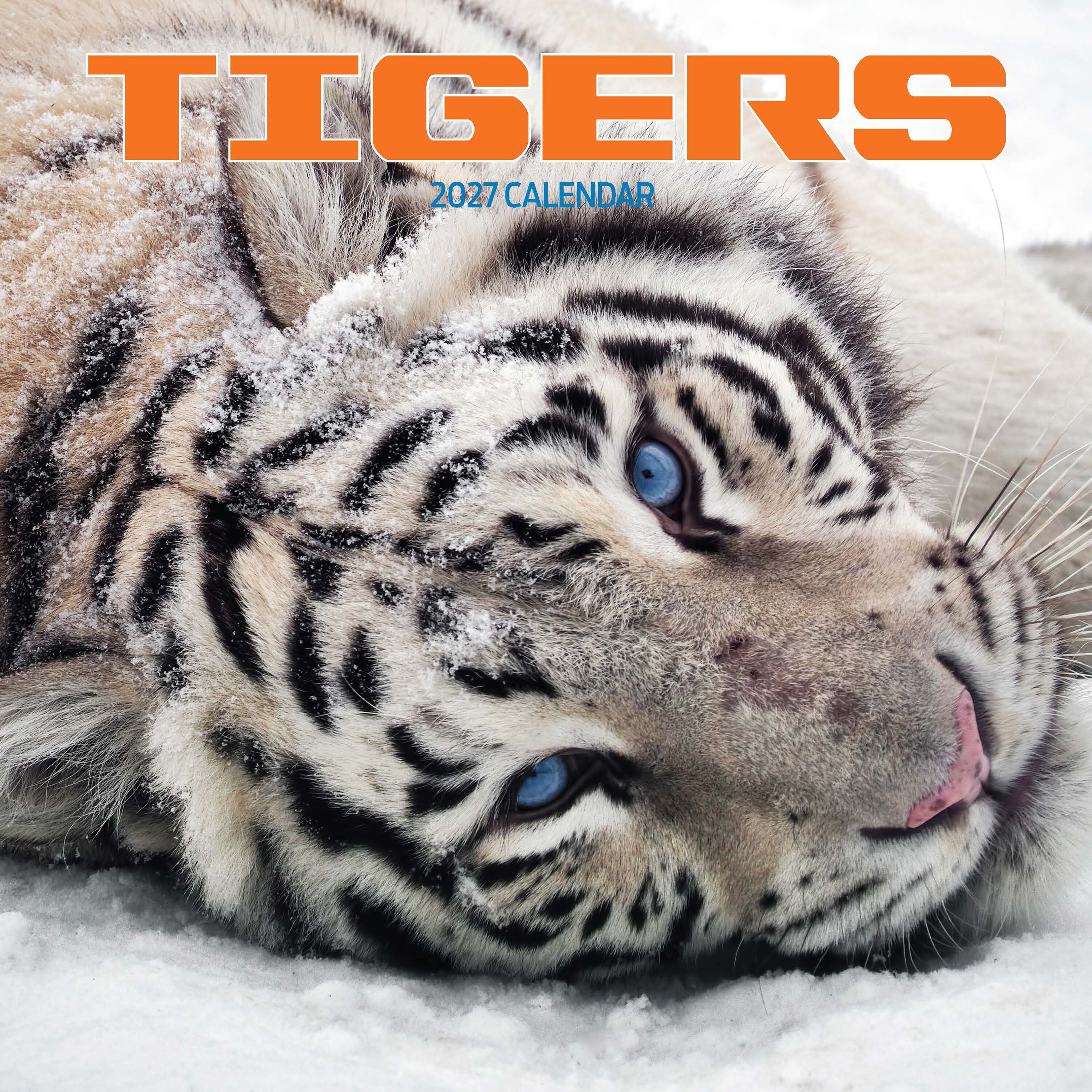 【2027年版】英国製カレンダー【Tigers】 2027年版