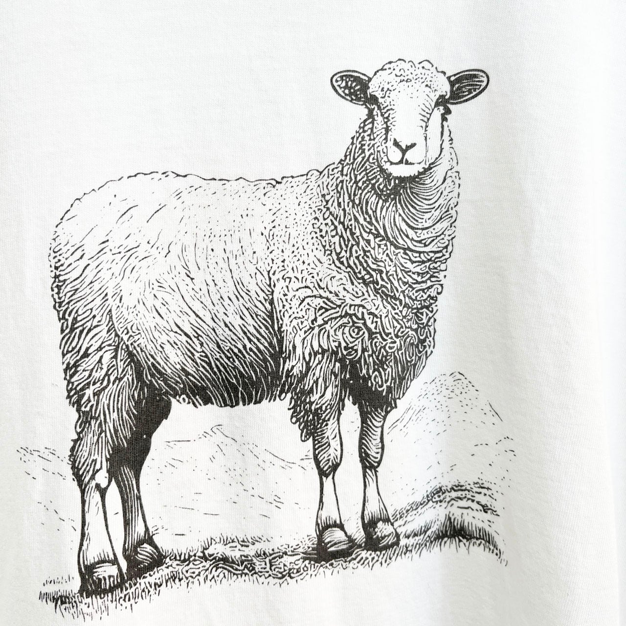 FilMelange (フィルメランジェ）MILES-SHEEP マイルスシープ -WHITE
