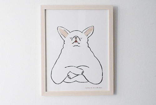 Misato Sano｜かっこいいチワワ