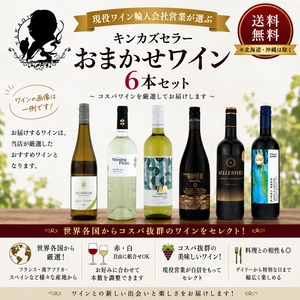 キンカズセラー おまかせワイン6本セット【送料無料】 ～ 現役ワイン輸入会社営業が選ぶ コスパワイン～