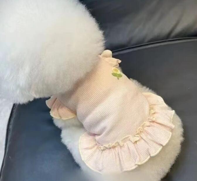 《予約》№1102872 ワンポイントフラワートップス