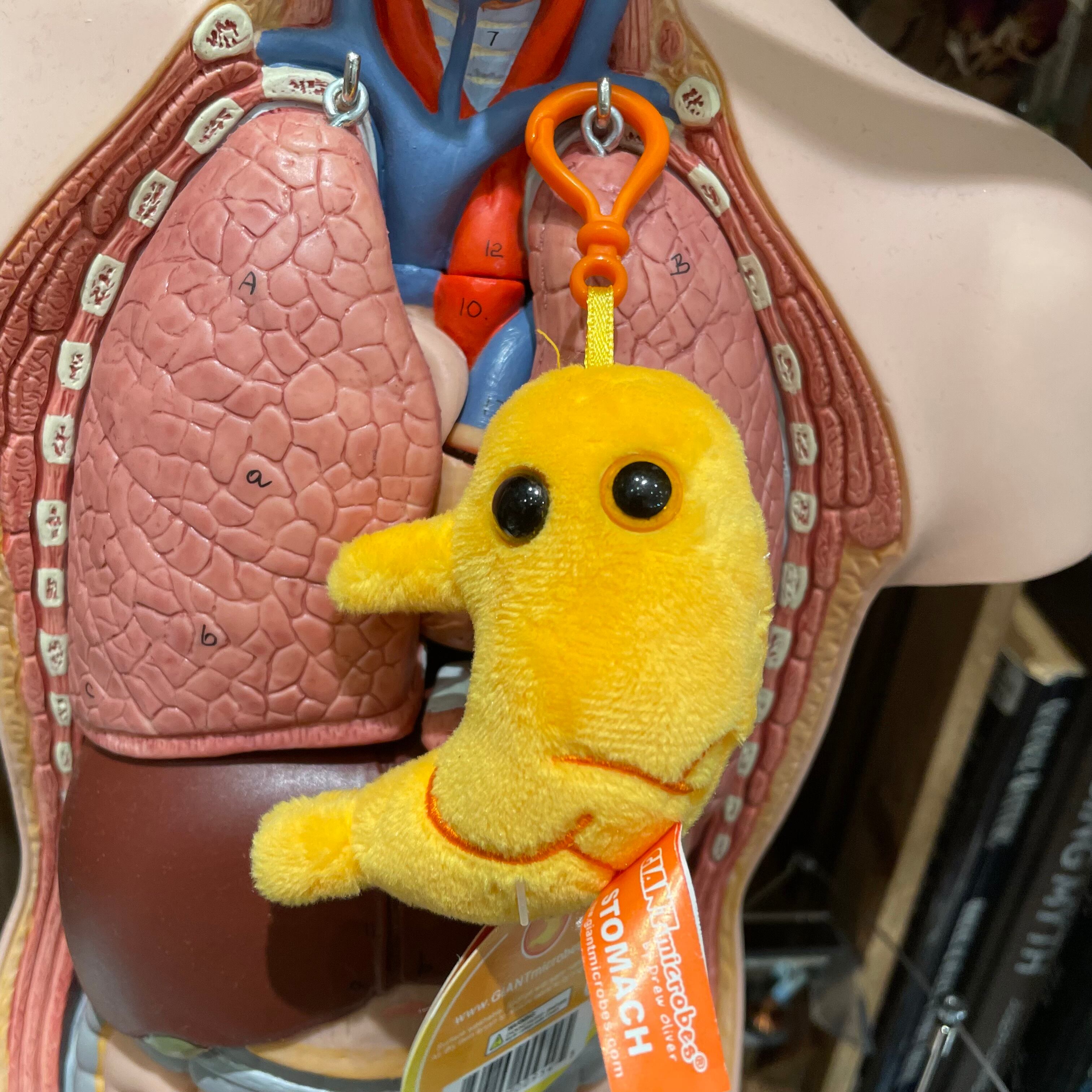 ジャイアントマイクロブス ぬいぐるみ ペニシリン | THE STUDY ROOM