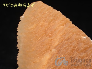 カルサイト 方解石 Calcite イギリス TM-0045