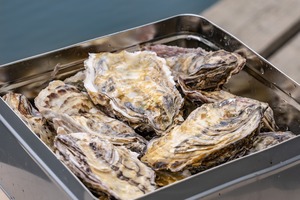 ＜太平丸の一年牡蠣＞かんかん焼きセット 殻付き2.5kg（18-27個程度・・季節によって異なります）