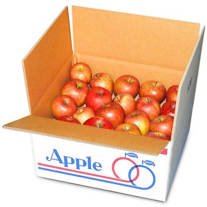 【加工用】りんご　３段（サンフジ）