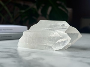 セカンドチャンス30