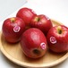 りんご ピンクレディ 約1Kg 4〜6個 長野県産 リンゴ 希少品種 林檎