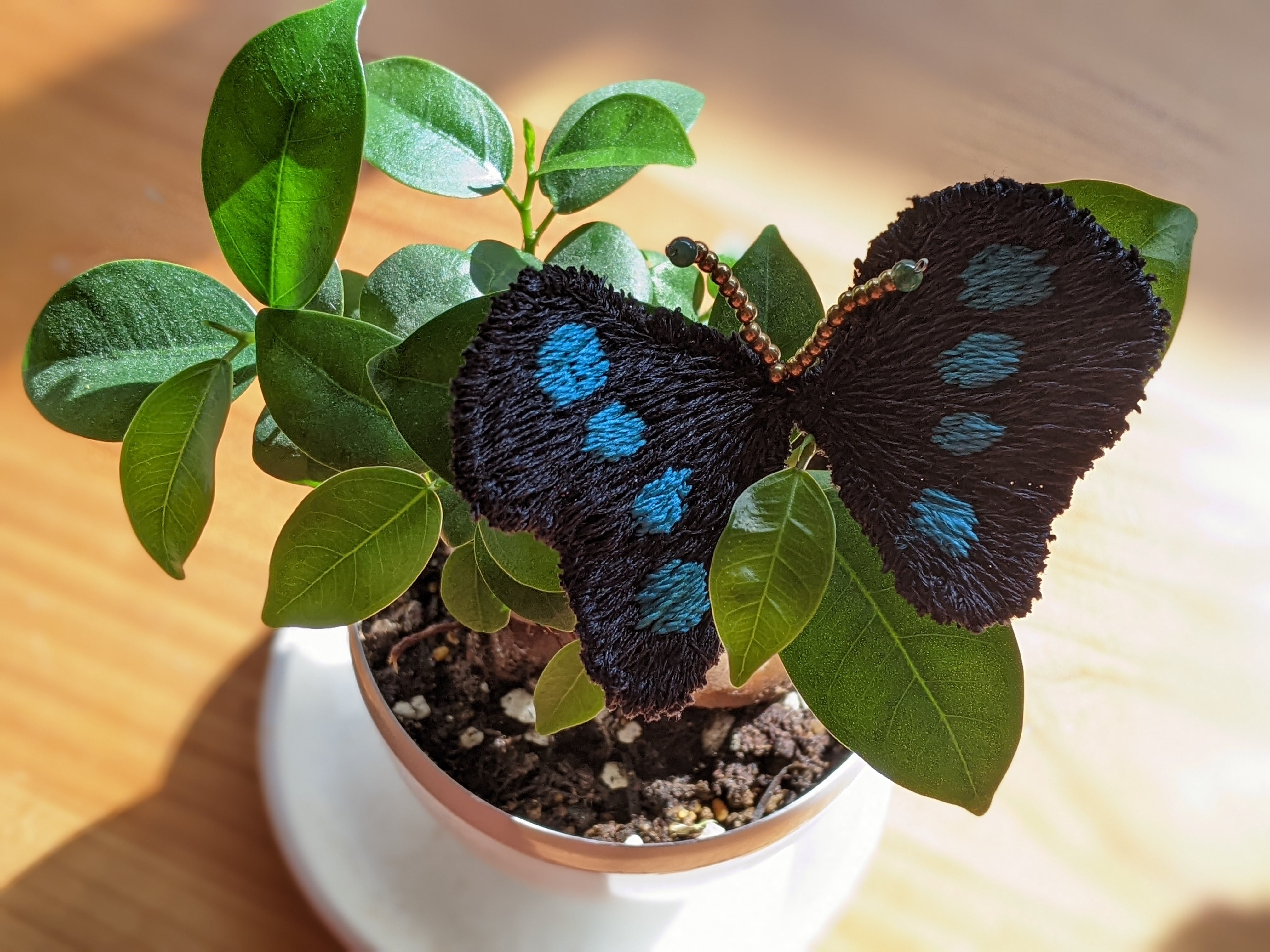 立体刺繍の蝶々ブローチ《アオスジアゲハ》 | みるまに