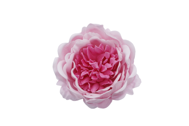 シャクヤク ツートーンWY-P4薄ピンク(9輪入り)