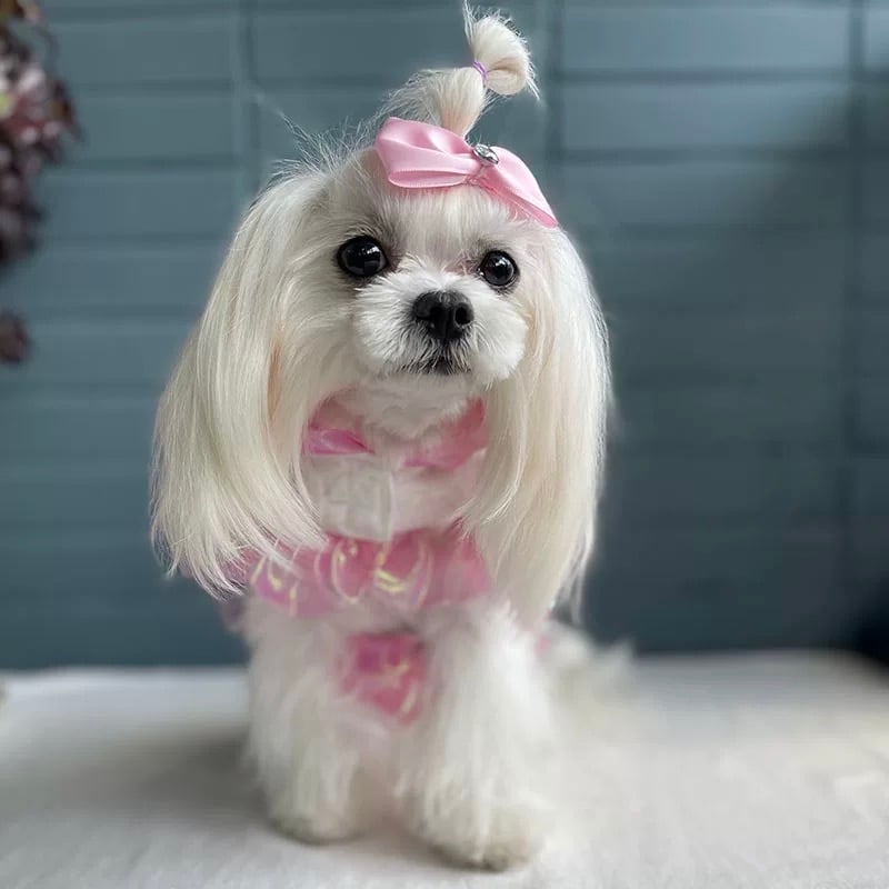 ビッグリボンフリルハーネス 00202