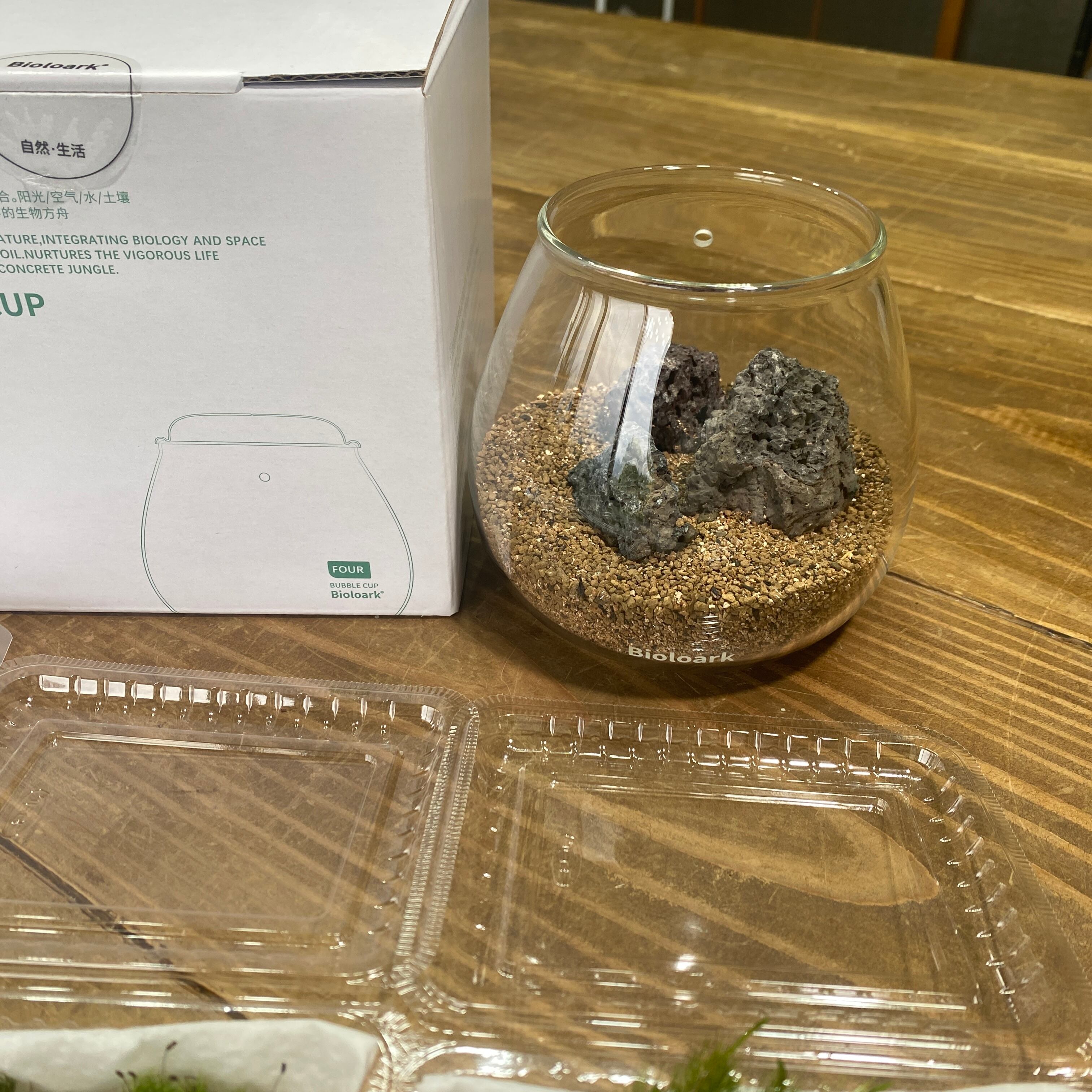 初めての苔テラリウムキット BubbleCupFOUR | 栽培苔と苔テラリウム