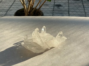 オートクチュール160