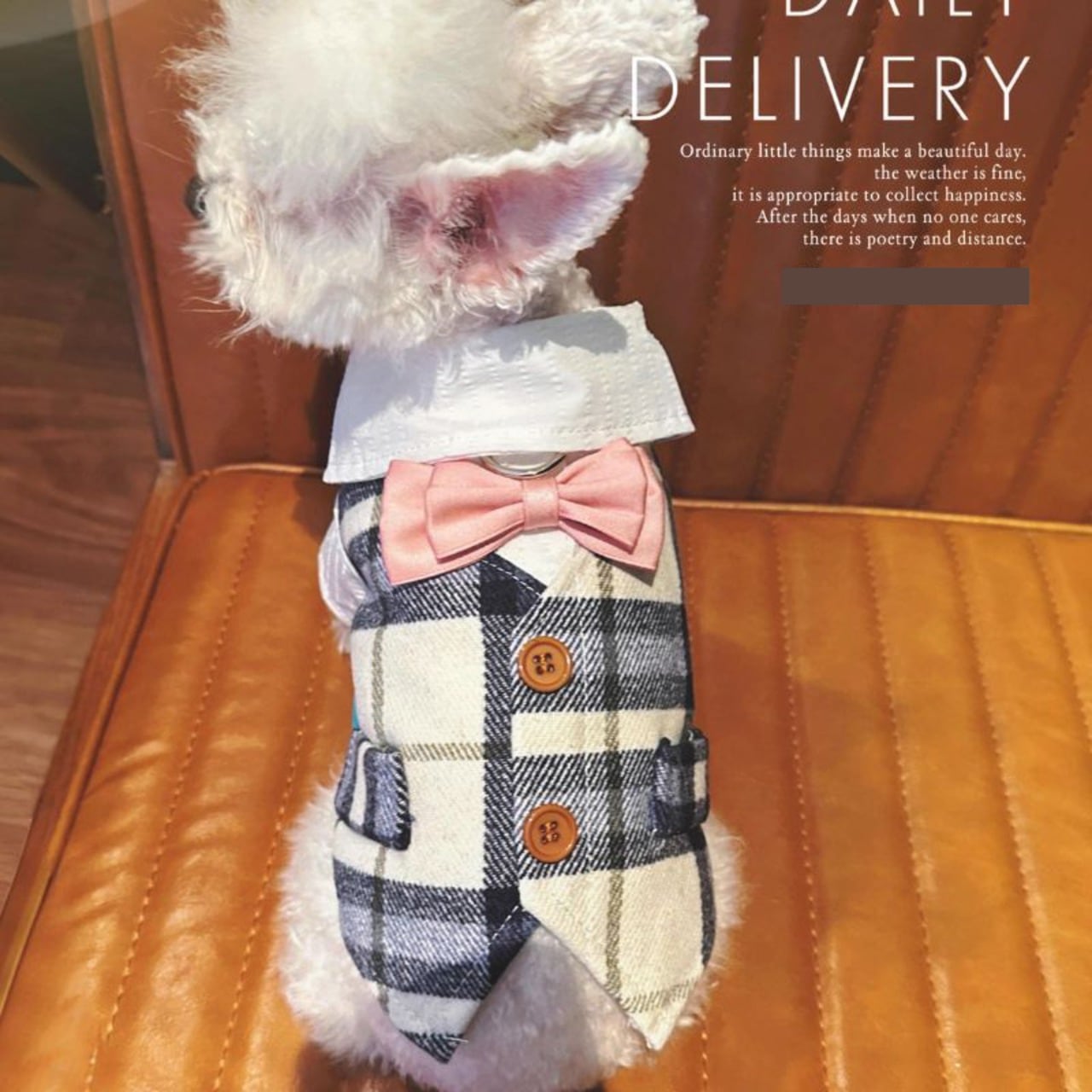 チェックのベスト風シャツ 犬服 00449