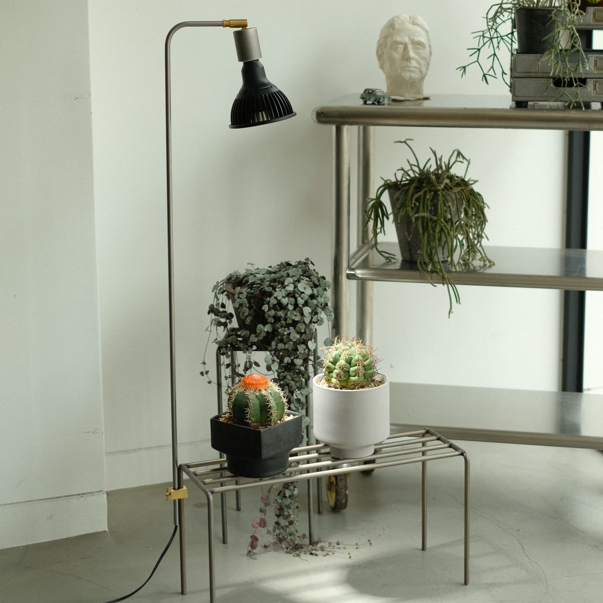 KNOP ADJUST LAMP | WEST VILLAGE TOKYO
