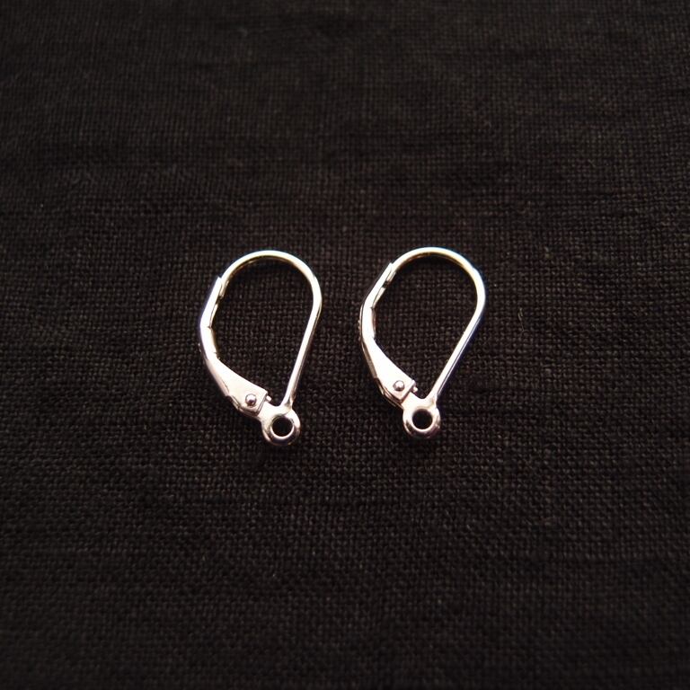SV】Blue Sapphire × Gray Moonstone × Kyanite Earrings／グレー