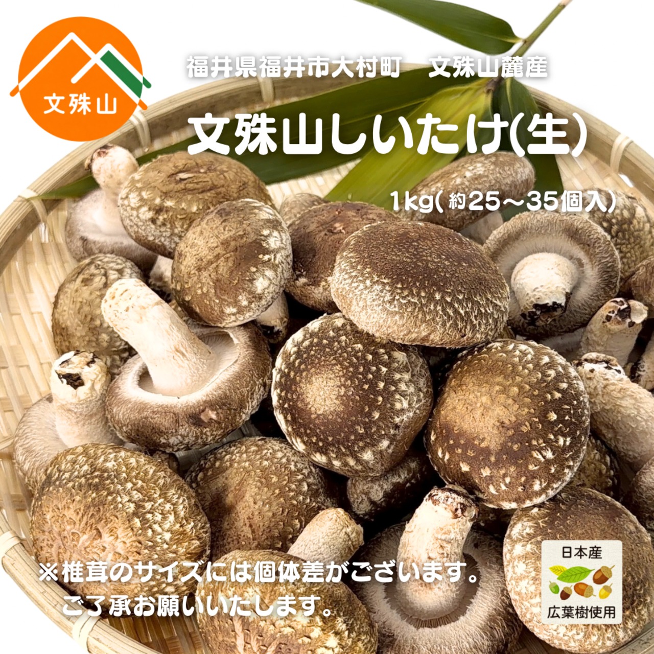 文殊山しいたけ（1kg）