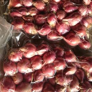 赤わけぎ（半分） red onion (shallot) หอมแดง 　250ｇ