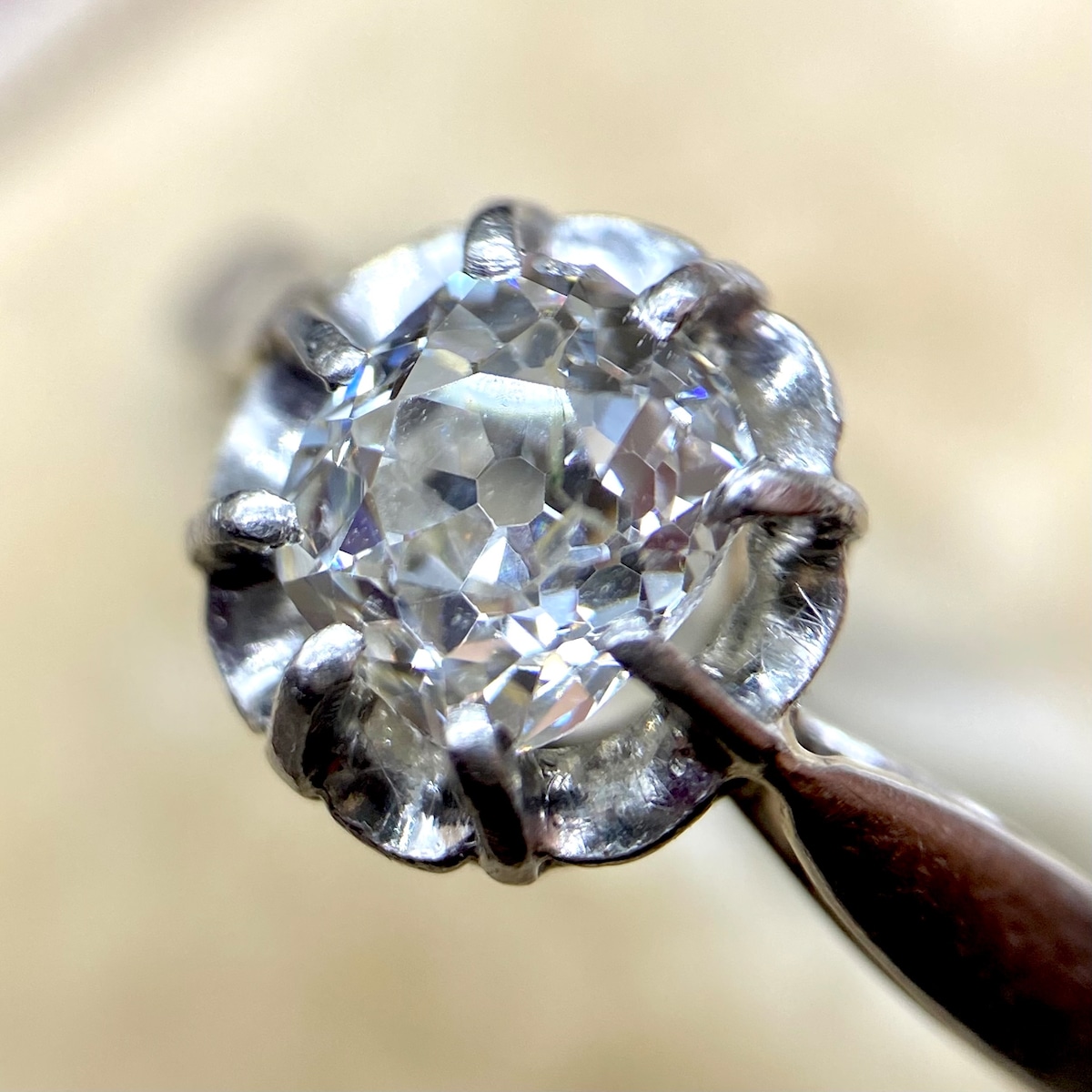 f50a18ce0f055c76d0ab6d3c04f252  