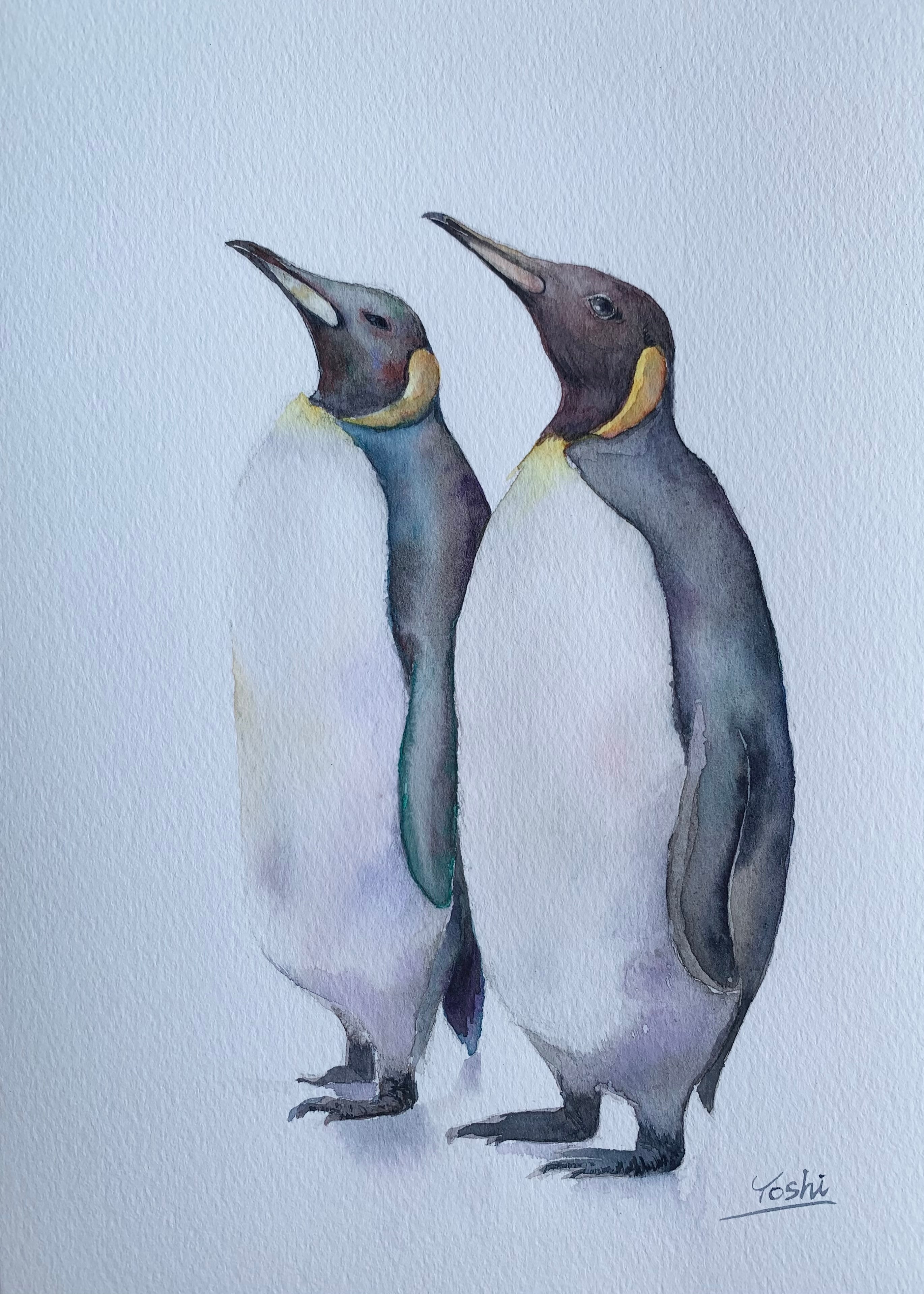 オウサマペンギン | Yoshi Art Studio