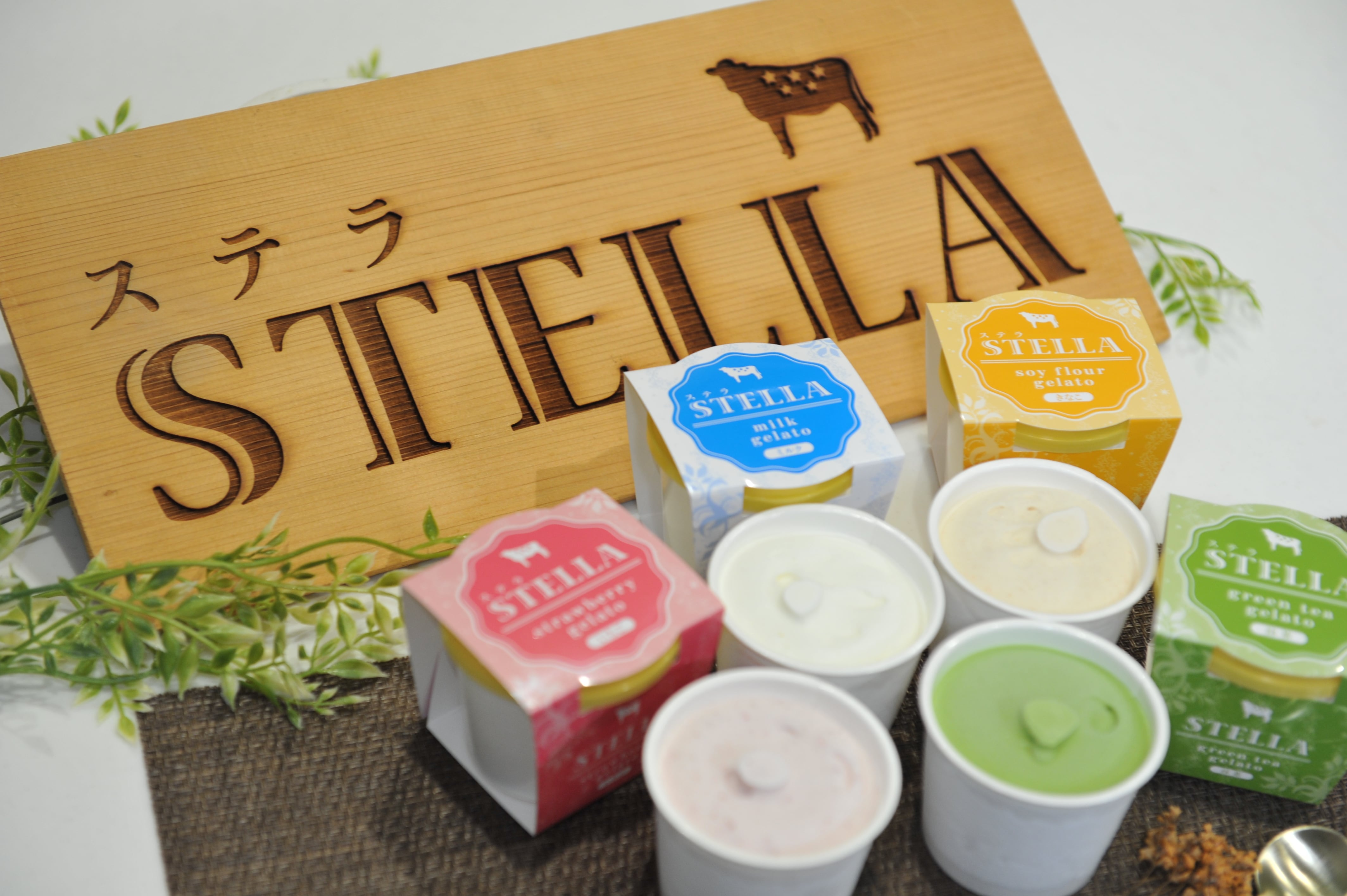 6個入り】STELLAジェラート 〜酪農家が作る搾りたて生乳を使用した