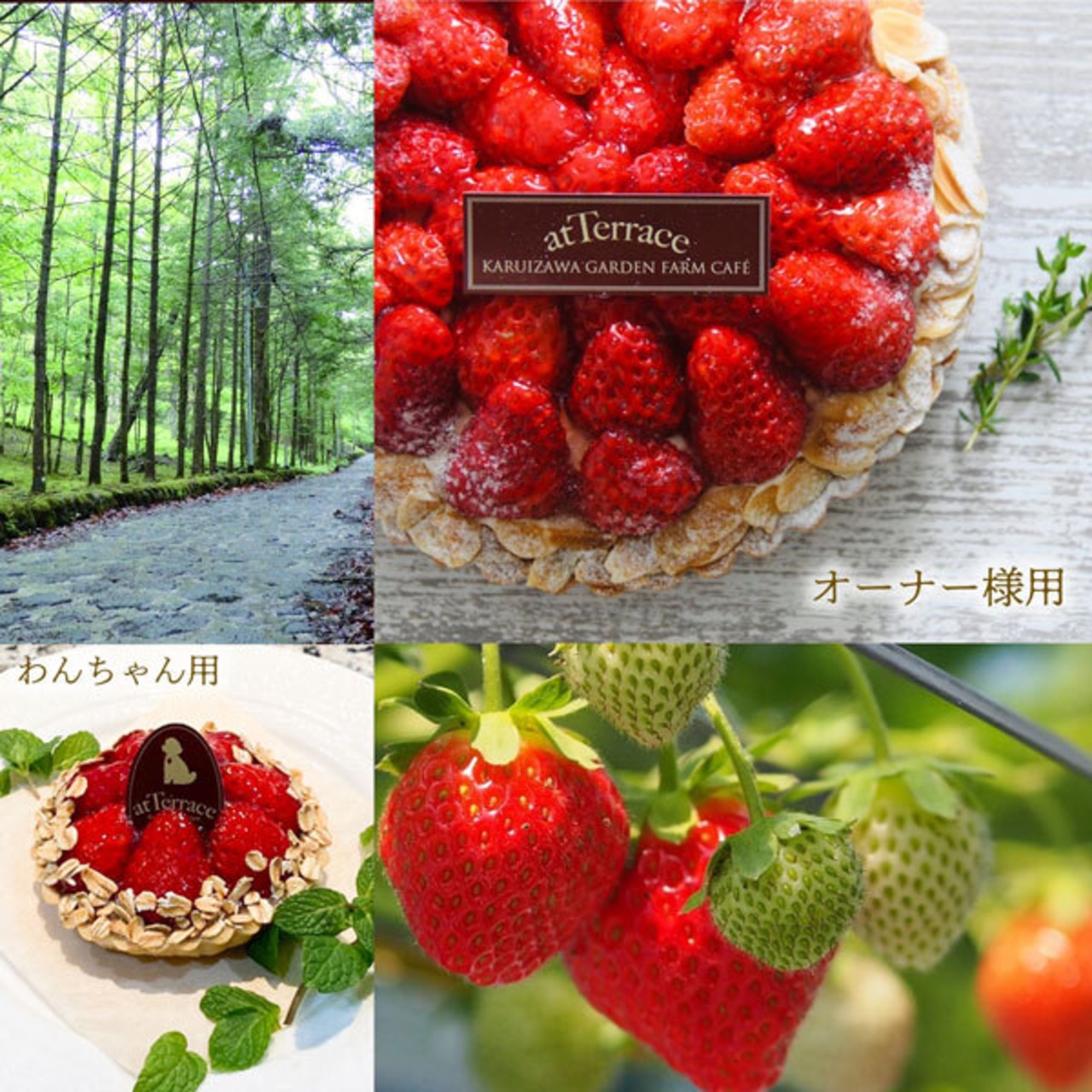 Atterrace軽井沢ガーデンファーム