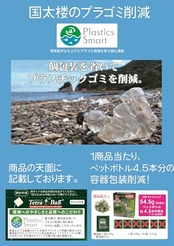 国太楼 お徳用宇治抹茶入り緑茶三角ティーバッグ50P