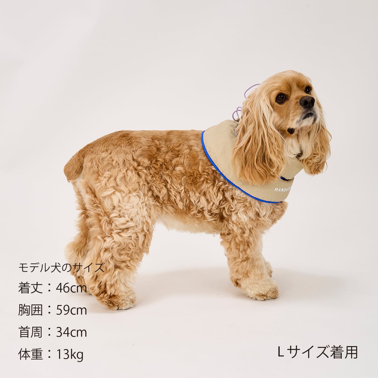 COOLING COLLAR（M） クーリングカラー | MANDARINE BROTHERS