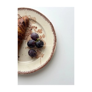 Sarreguemines サルグミンヌ / “GROSEILLES” brown スグリの平皿プレート c