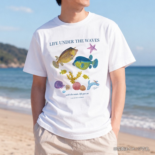 海の生きもの半袖Tシャツ（ハコフグ）｜LIFE UNDER THE WAVES Model-08