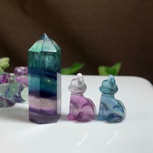 05.フローライトねこちゃんの集い場・フローライト