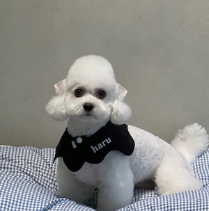 予約　【curum】Black Wave cape