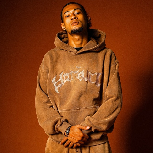 OG LOGO HEAVYWEIGHT PIGUMENT HOODIE