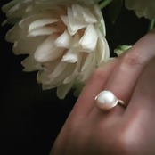 Akoya pearl Half Ring