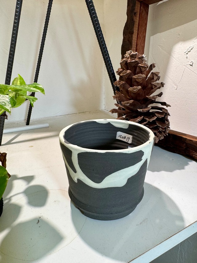 【初登場】⑤信楽焼の陶器鉢！かみ山陶器の厳選植木鉢（白流し貫入りリム付、12×95）