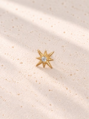 316L hawaiian Hoku（ホクー）pierce（片耳用）#p14
