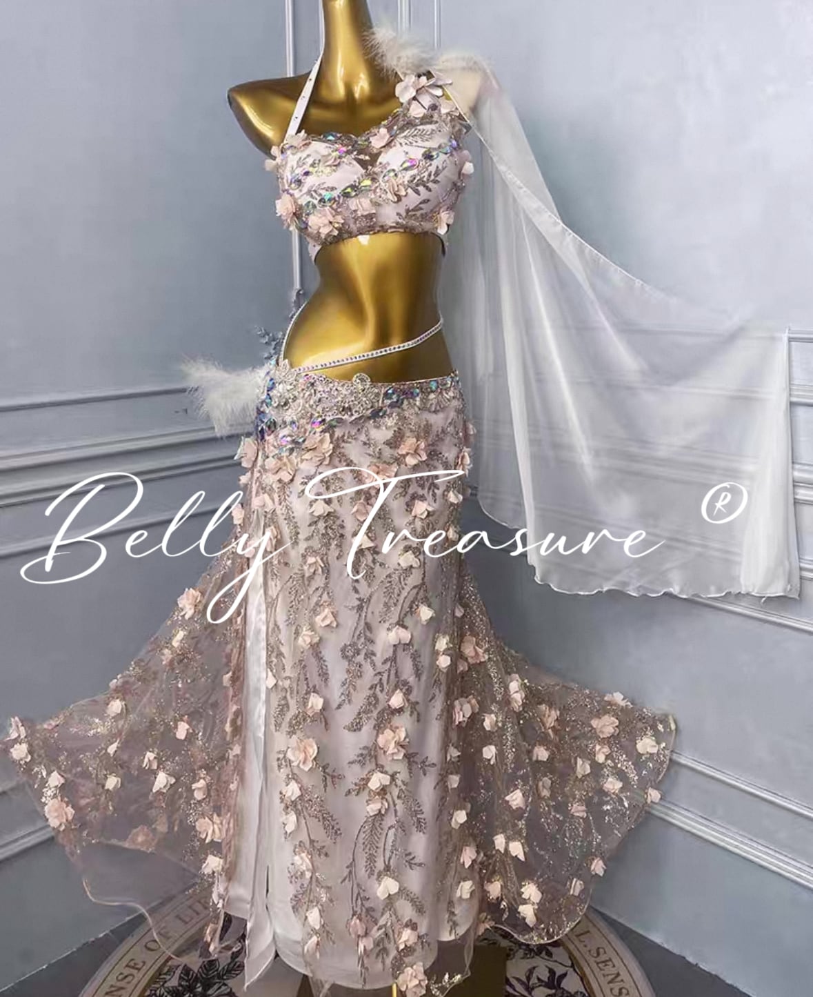 ベリーダンス衣装 WZY 213 202508(ラメ落ちあり)