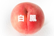 【白鳳種】白鳳【約4kg(12〜13玉)7月中旬】