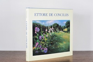 【VA222】Ettore de Conciliis  /visual book