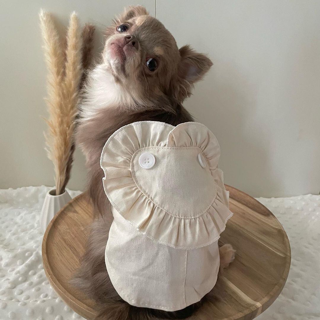 ハートモチーフジャンパースカート ◎犬服 | luminous