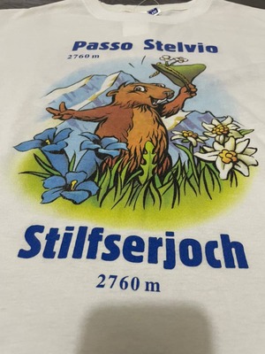プリントT プリント　Tシャツ　半袖　キャラクターT キャラT 白　ホワイト　　商品番号366