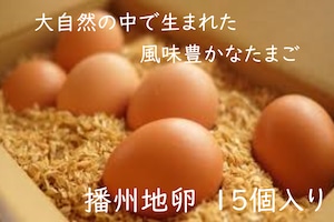 平飼いの開放鶏舎で生まれた「播州地卵」【15個入】