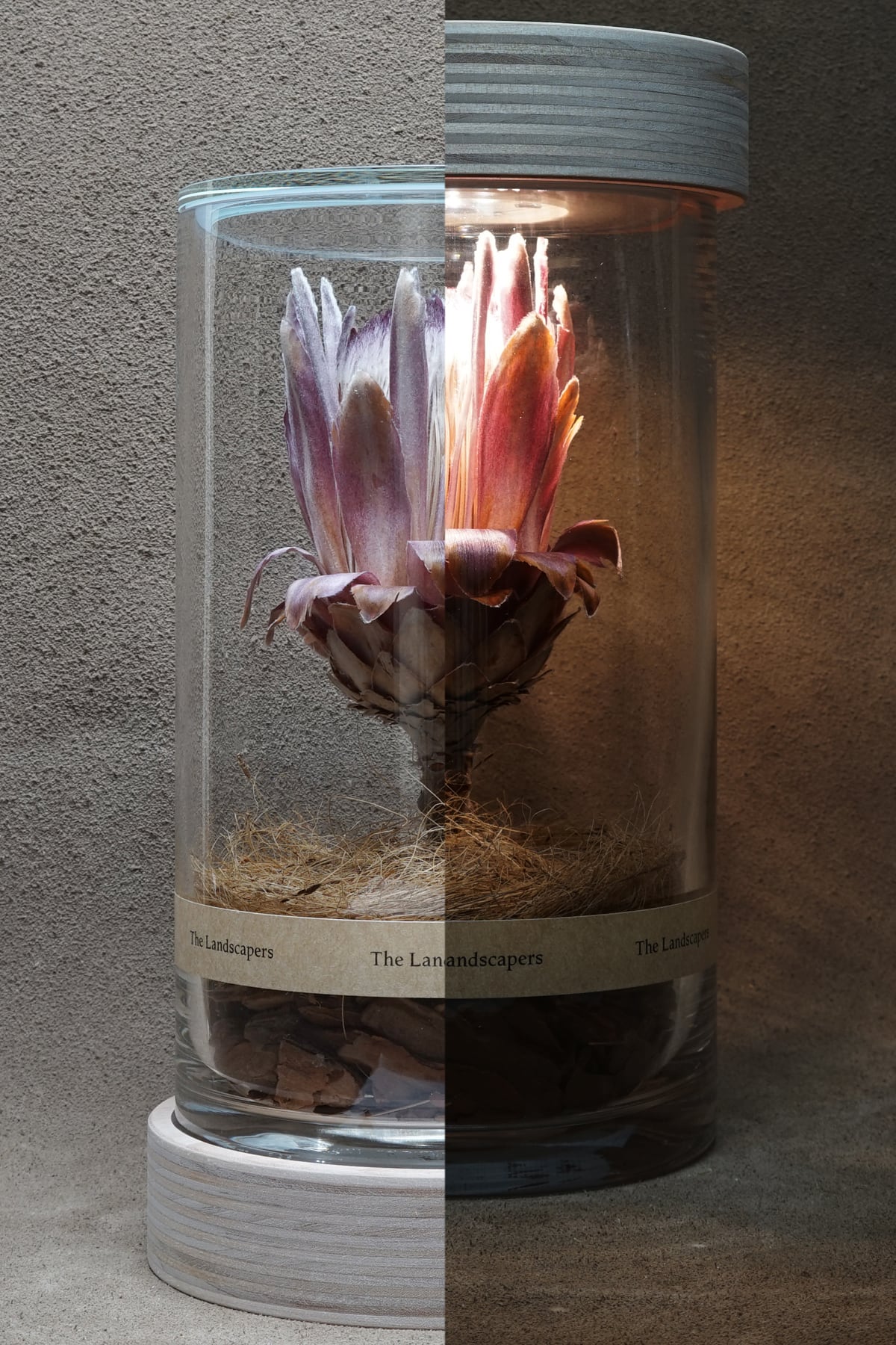 木の台座 期間限定20%オフ！】LIGHTING WOOD PEDESTAL（照明木台座） | The