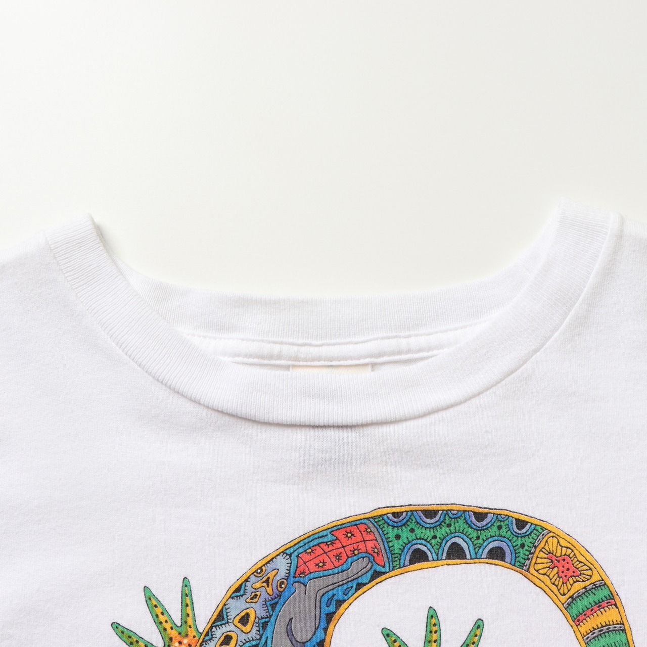 Beneficial Tシャツ リザード M ベネフィシャル パタゴニア トカゲ