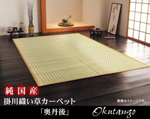 玄関マット Fなでしこ BL 60X90 60×90cm ラグマット カーペット ラグ 絨毯 マット