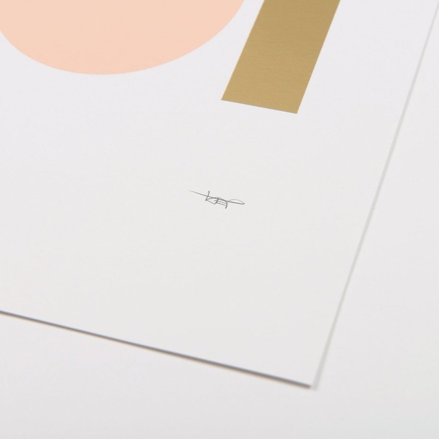 TOM PIGEON/Object Print 2